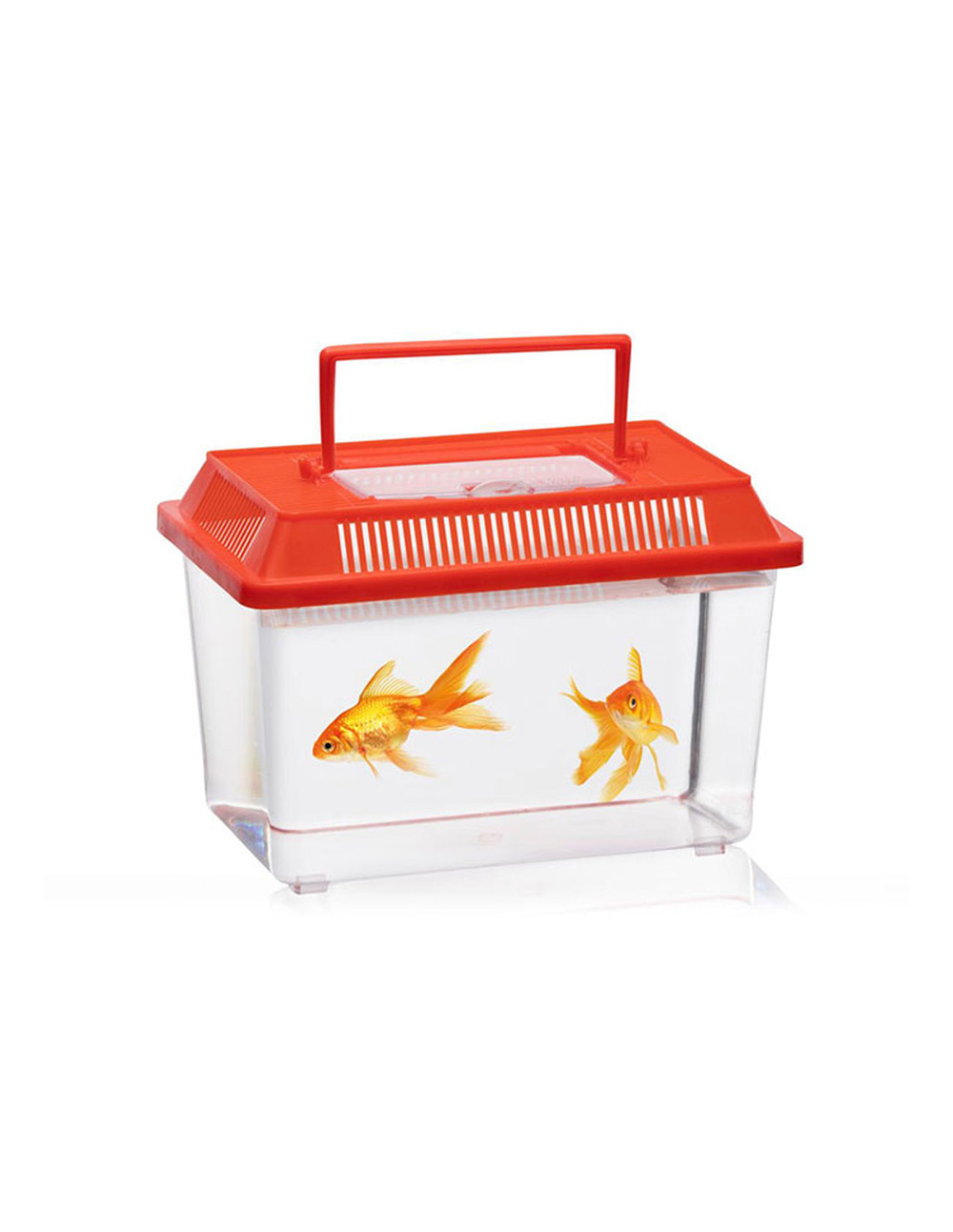 Boite insectes couleurs assorties