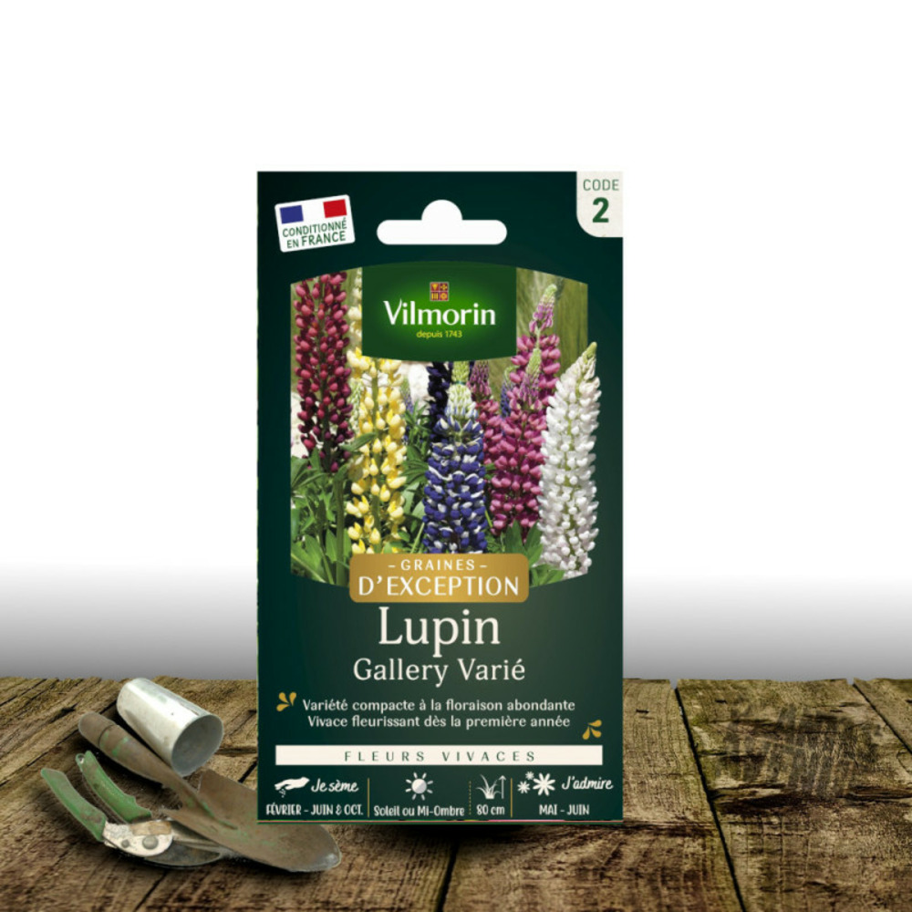 Graines de lupin gallery varié - vilmorin sachet
