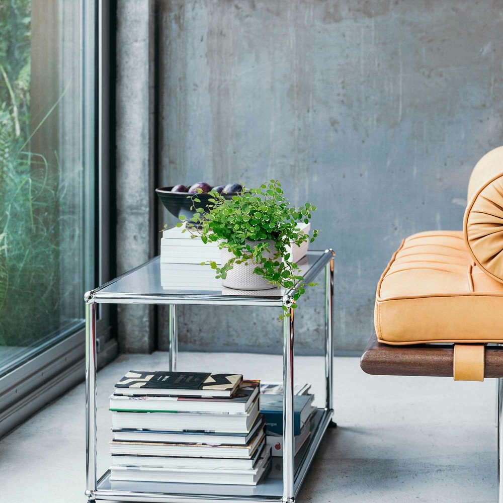 Ficus pumila white sunny - le pot / ø 12cm / hauteur livrée 15-20cm