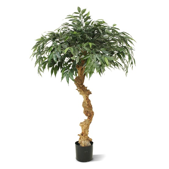 Shirakashi bonsaï artificielle sur tronc 100 cm