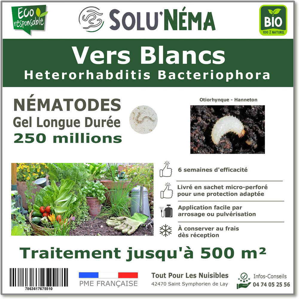 Solunéma - Nématodes contre les vers blancs - Heterorhabditis bacteriophora (HB)- 250 millions