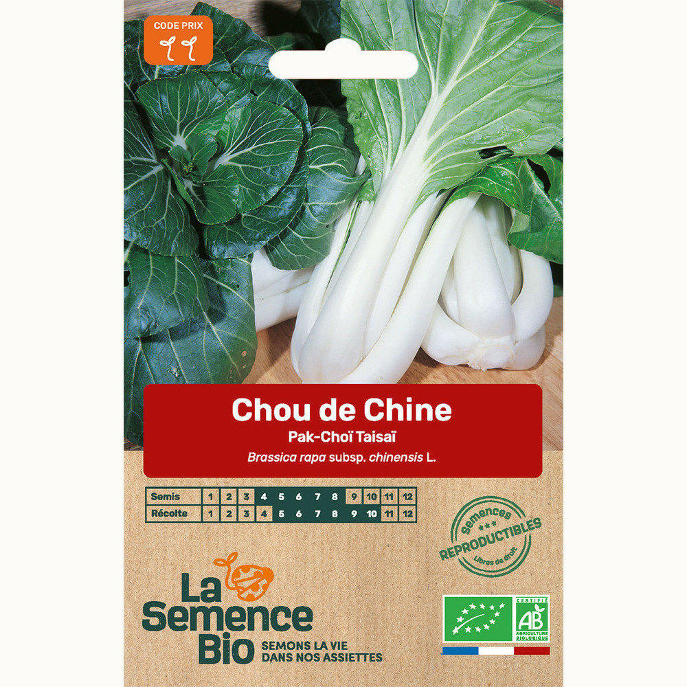 Chou de chine pak-choï taisaï - graines bio