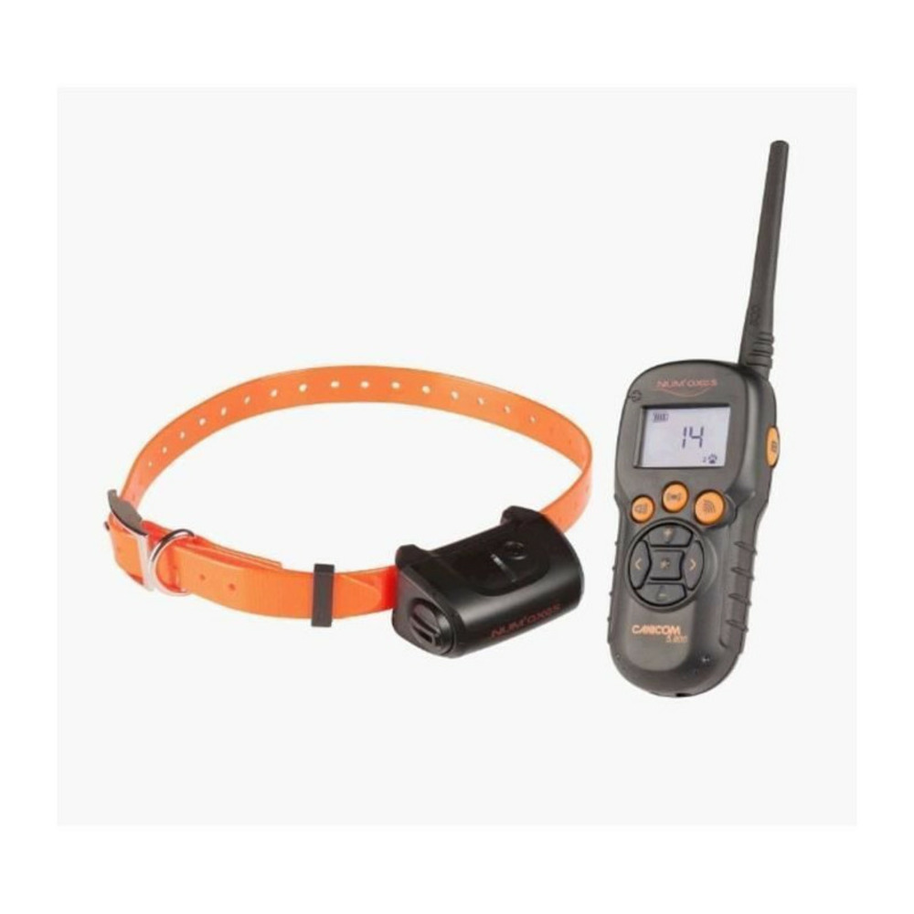 Numaxes ensemble de dressage canicom 5.800 avec une portee de 800 m - pour 1 ou 2 chiens