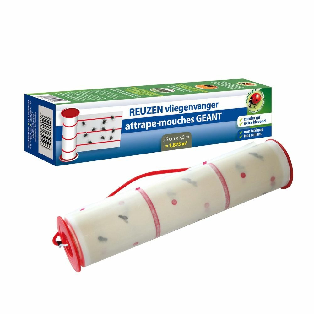 Attrape-mouches géant