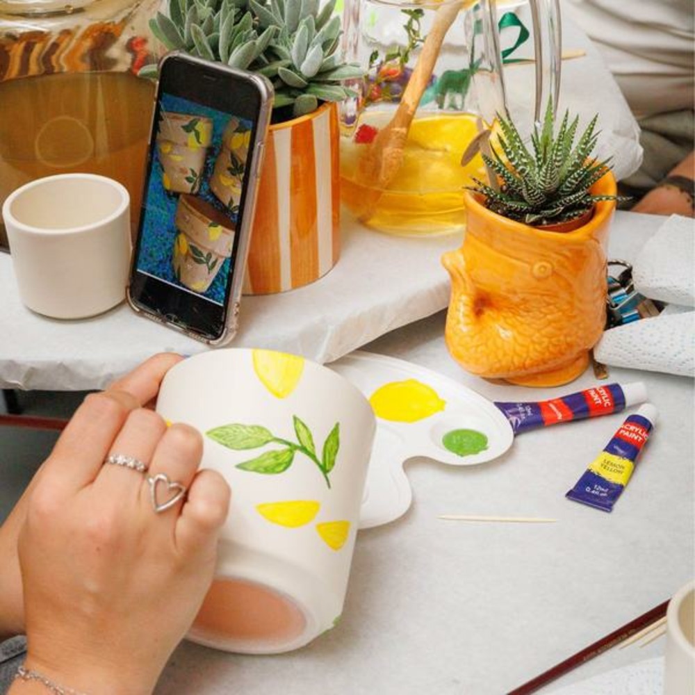 Coffret créatif visionnaire 8 : orchidées & succulentes