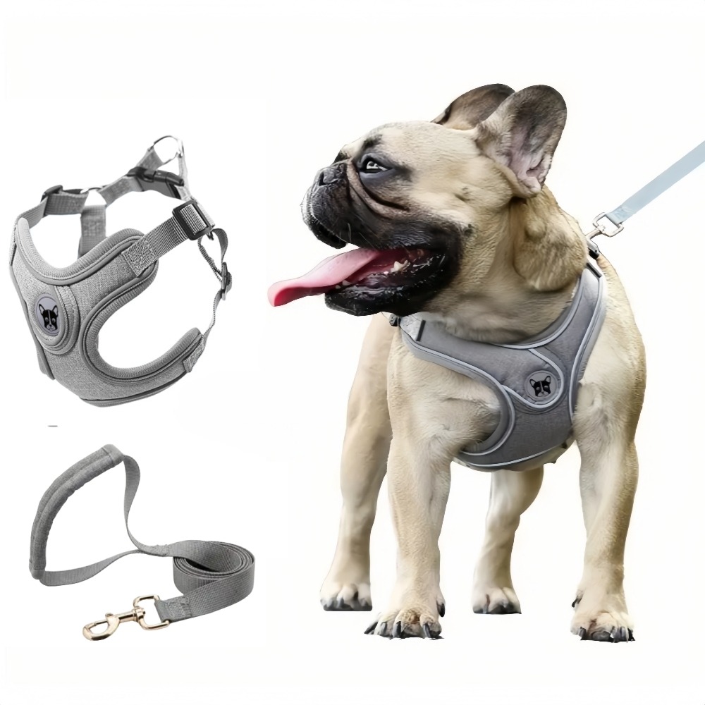 Ensemble harnais et laisse pour chien xs