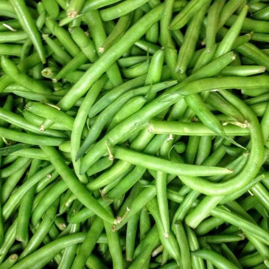 Graines de haricot nain mangetout contender - vilmorin sachet