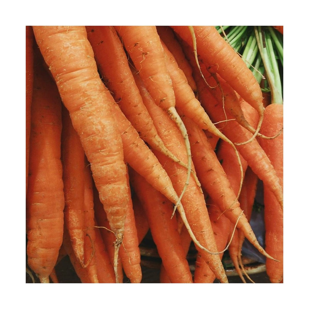 Graines de carotte de colmar à coeur rouge 2/daucus carota subsp. Sativus de colmar à coeur rouge 2[-]présemée
