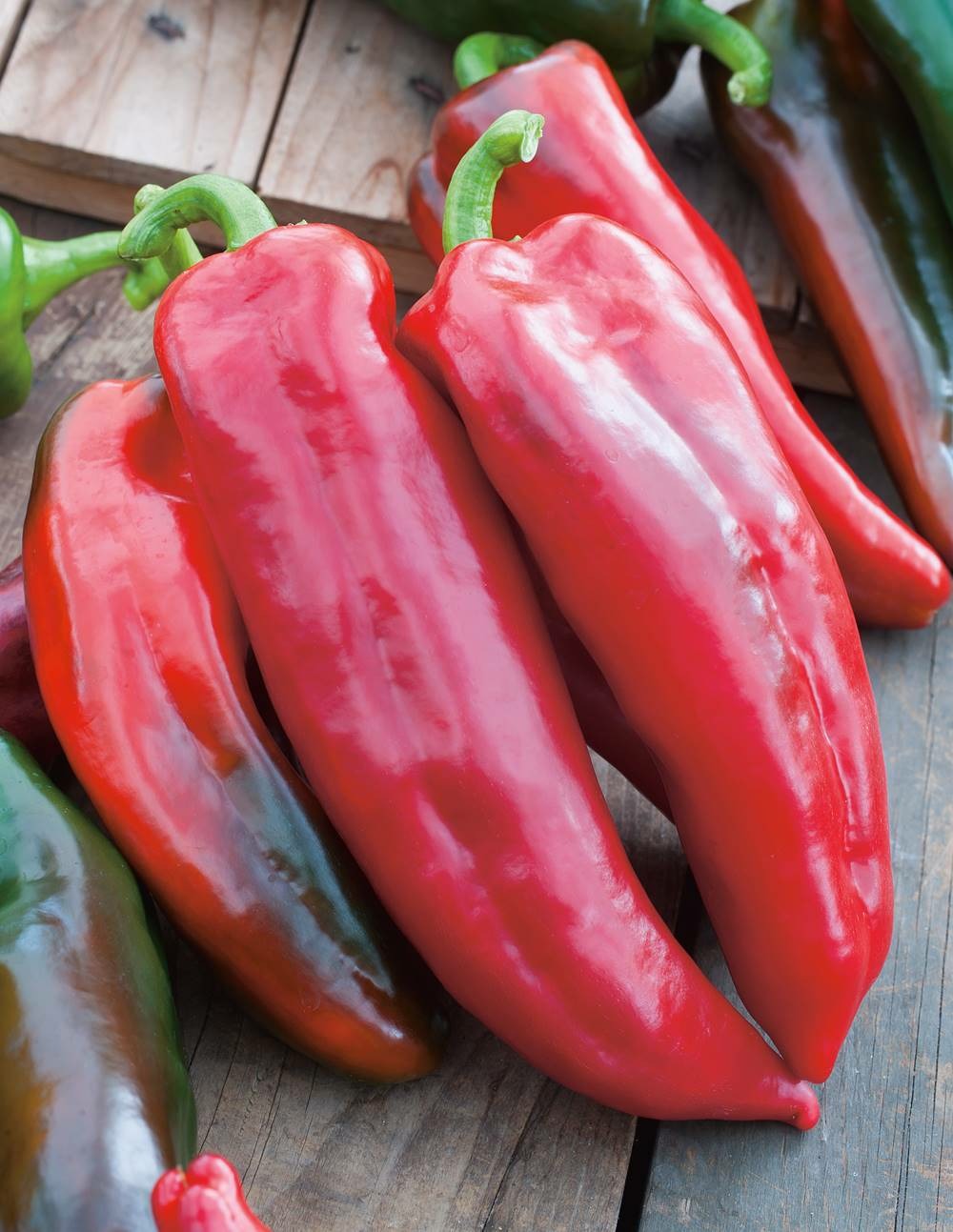 Poivron corno di toro rosso - 1 g