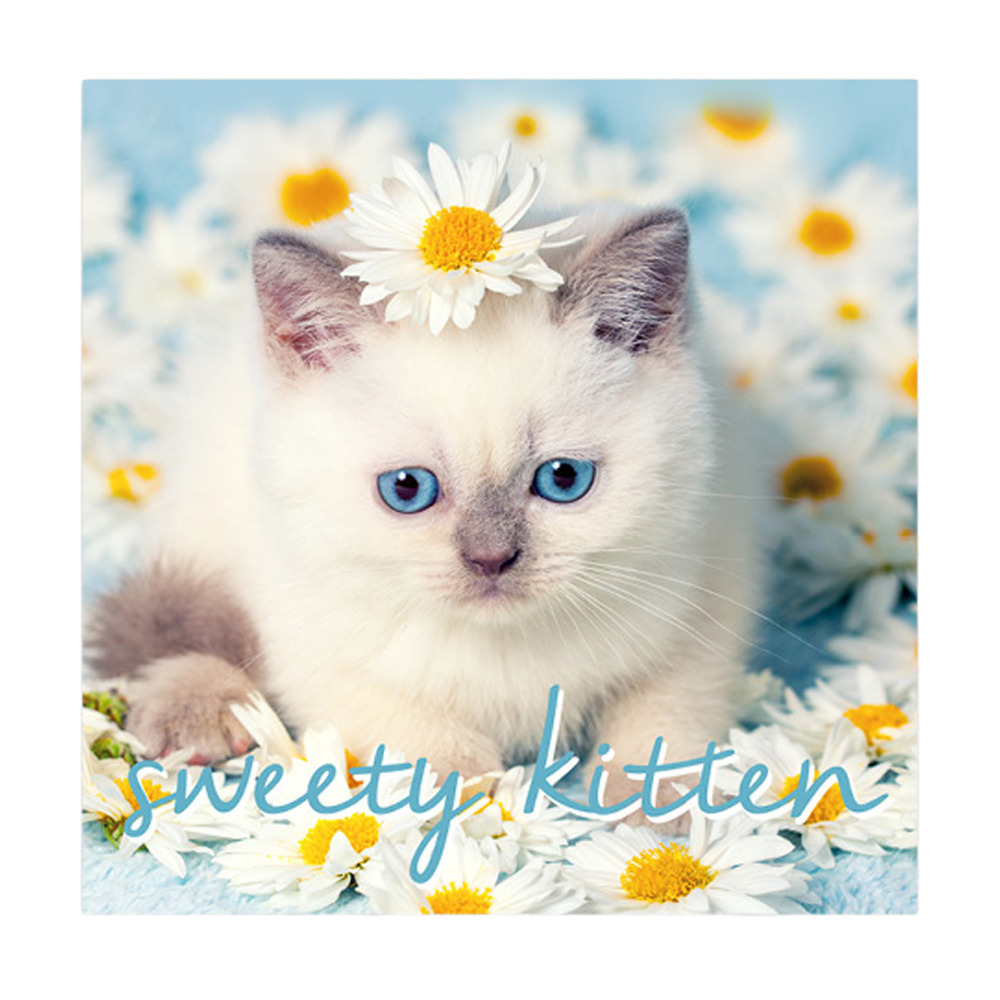 Lot de 20 serviettes papier sweety cat