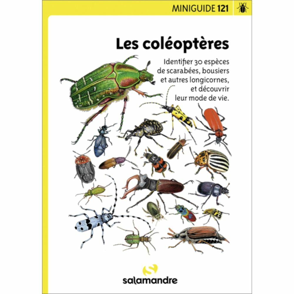Miniguide 121 - les coléoptères