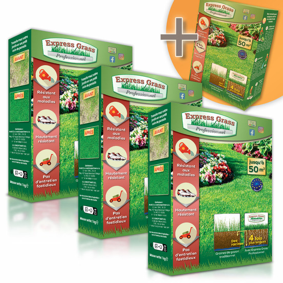 Gazon express professionnel (200m²) - fiable, résistant froid et chaleur - germination rapide et dense (14 jours)