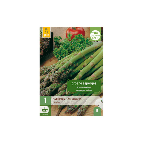1 plant d'asperge gijnlim