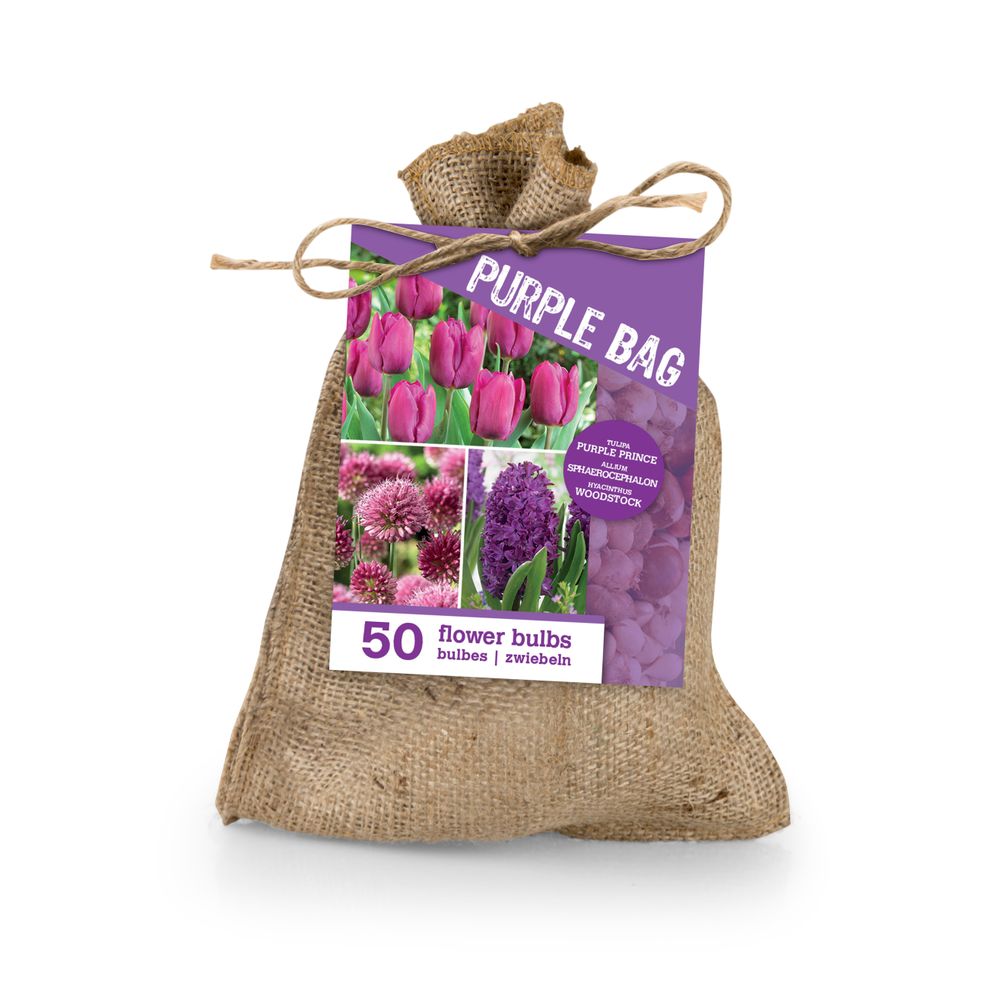 Mix de 50 - le sac violet - mix violet - tulipes, jacinthes, allium - bulbes à fleurs