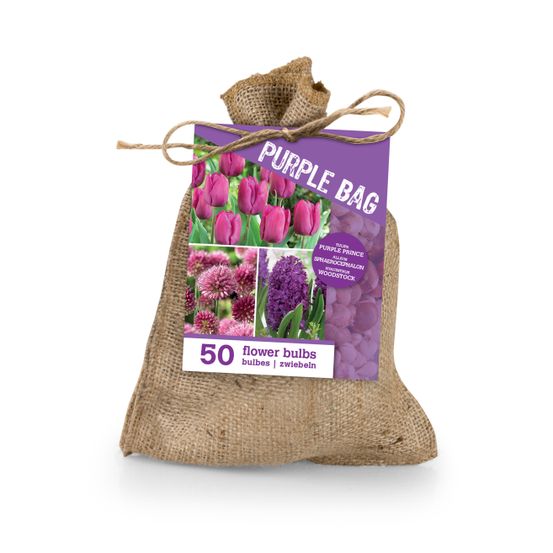 Mix de 50 - le sac violet - mix violet - tulipes, jacinthes, allium - bulbes à fleurs