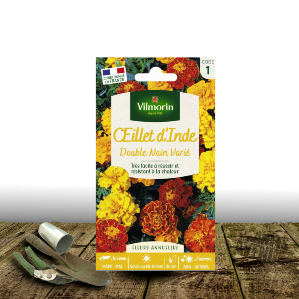 Graines d'oeillet d'inde double nain varié - vilmorin sachet