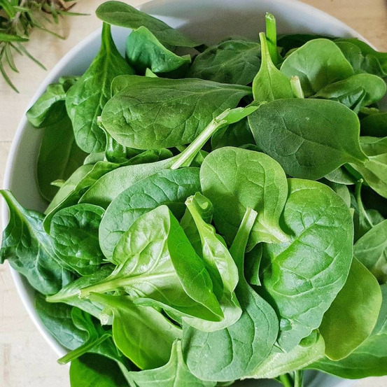 Graines d'épinard monstrueux de viroflay - vilmorin sachet