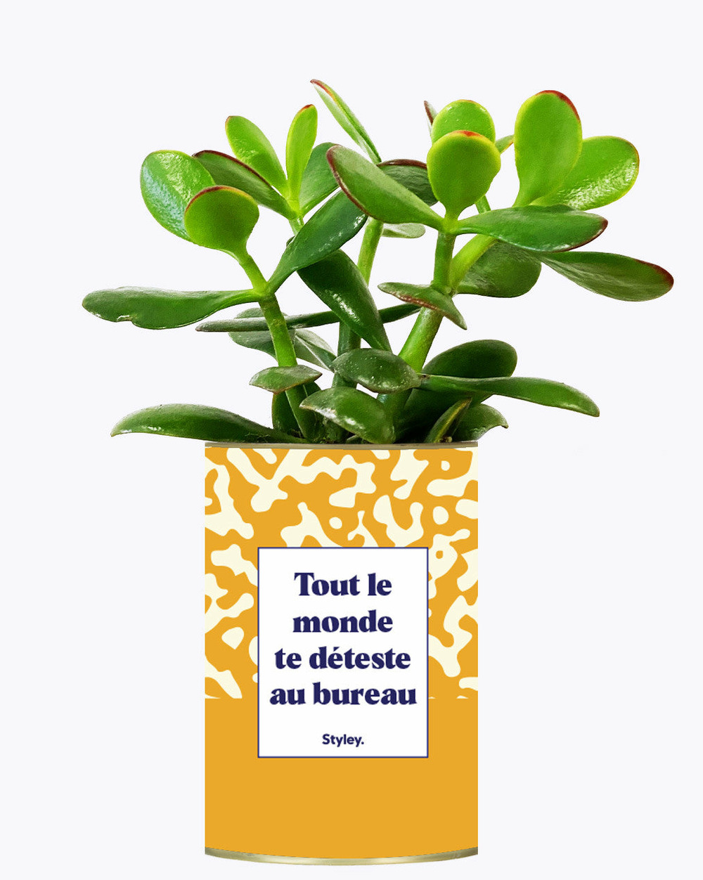 Plante personnalisée - tout le monde te déteste au bureau - cactus