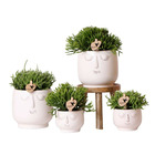 Ensemble de plantes - mélange Rhipsalis - en pots décoratifs blancs avec un visage + support de plantes en bois - pots 6 - 9 cm