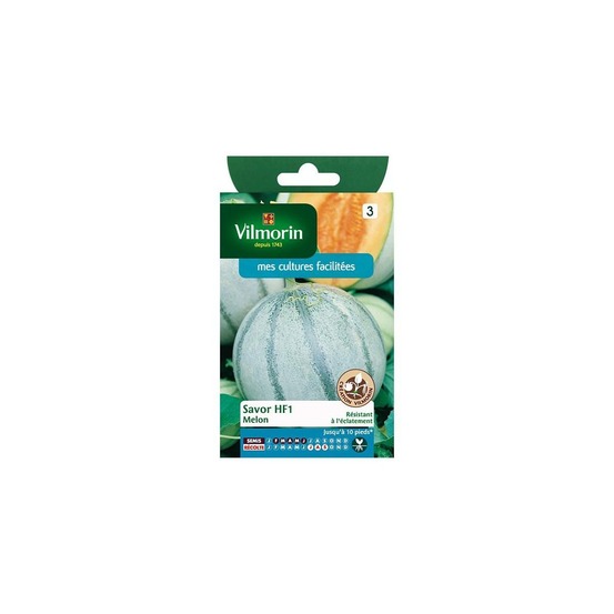 Sachet graines melon savor hf1