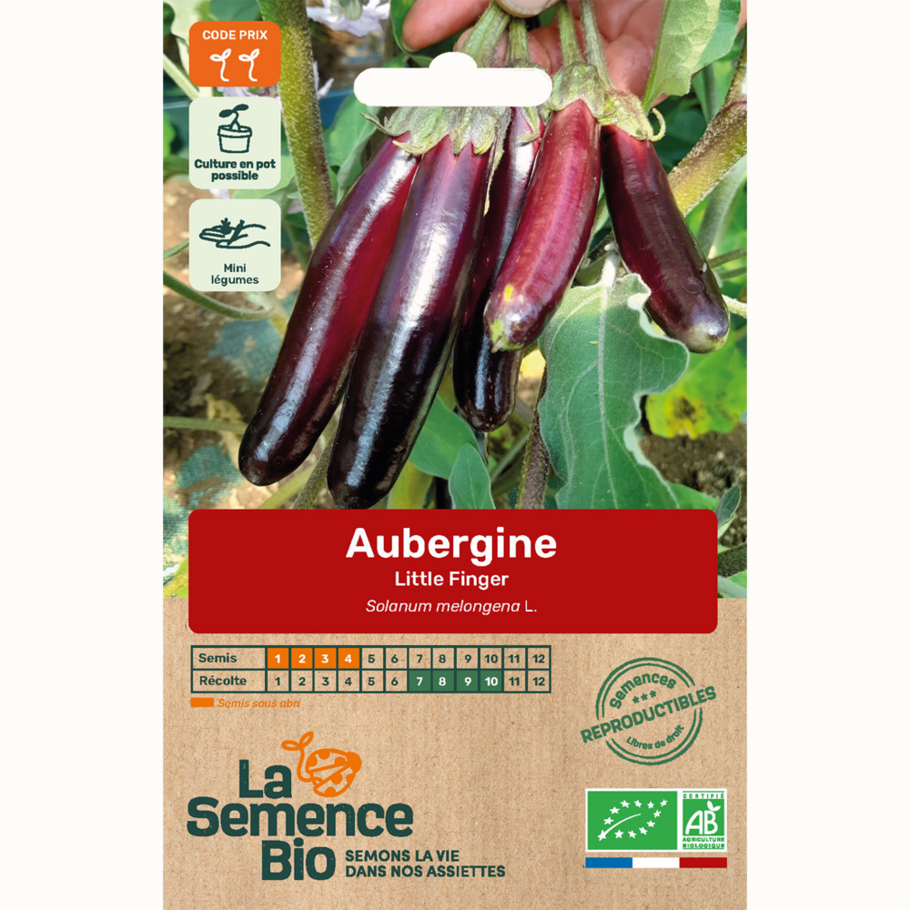 Aubergine little finger - graines bio