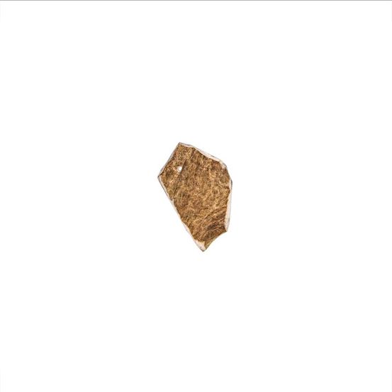 Bois de daim - matiscation longue pour chien