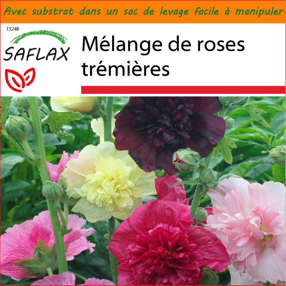 Garden in the bag - mélange de roses trémières - 100 graines - alcea rosea