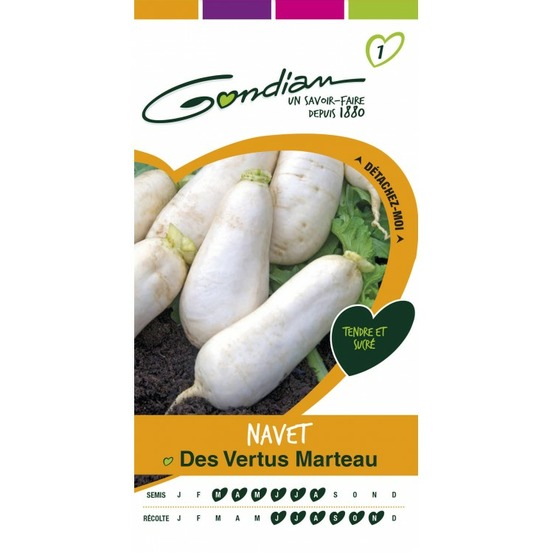 Navet des vertus marteau