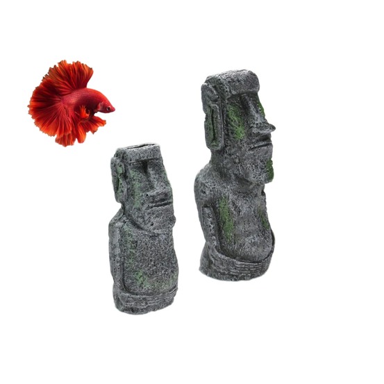 2 têtes de l'île de pâques pour aquarium & décoration