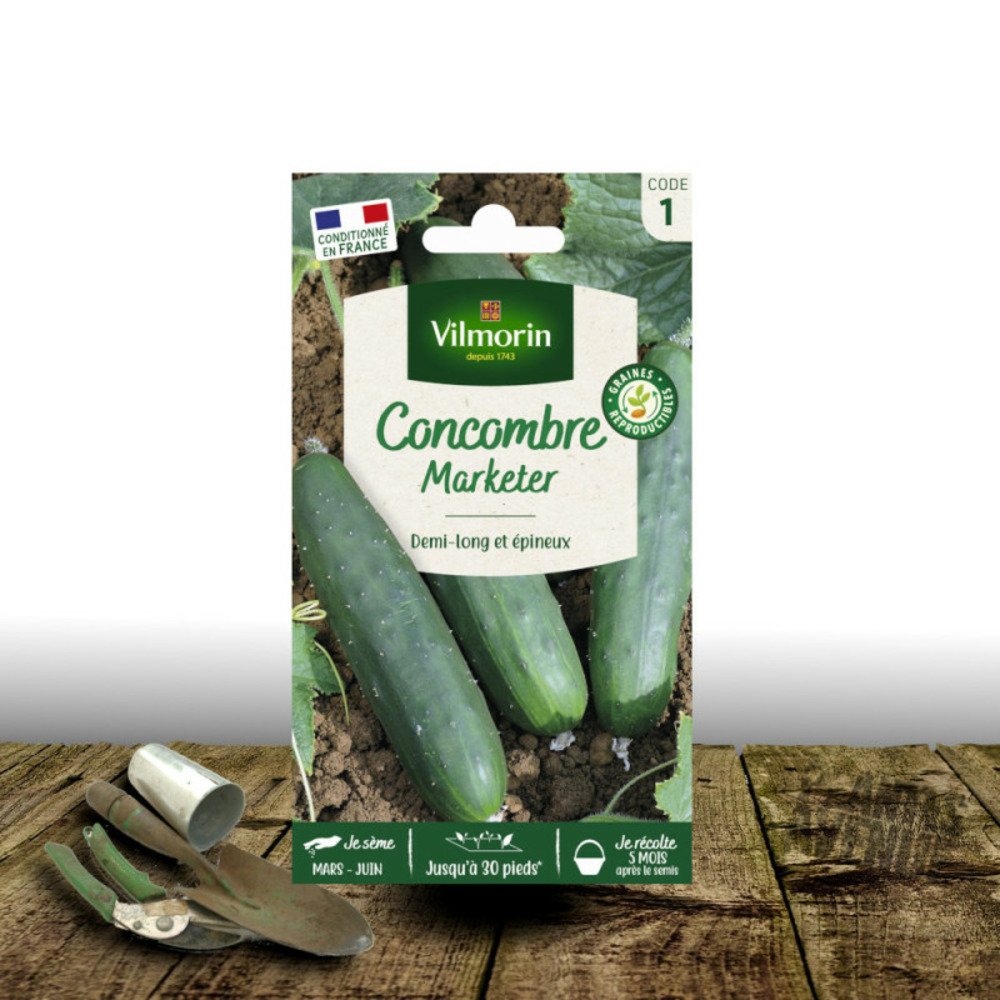 Graines de concombre marketer - vilmorin sachet
