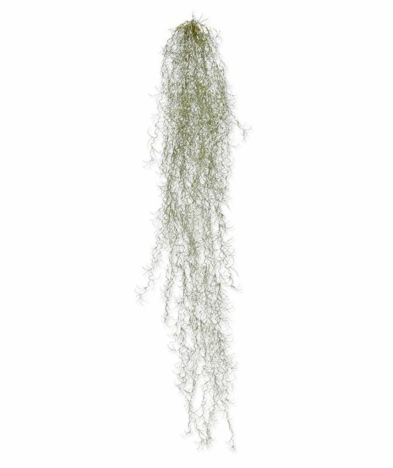 Tillandsia en chute artificielle deluxe 120 cm