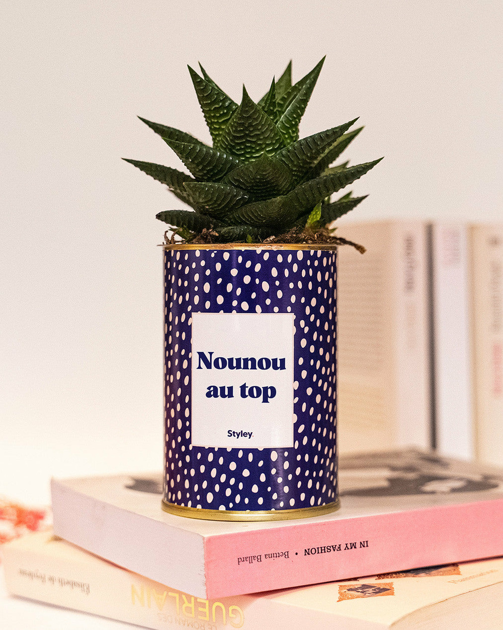 Plante facile à entretenir - nounou au top - cactus