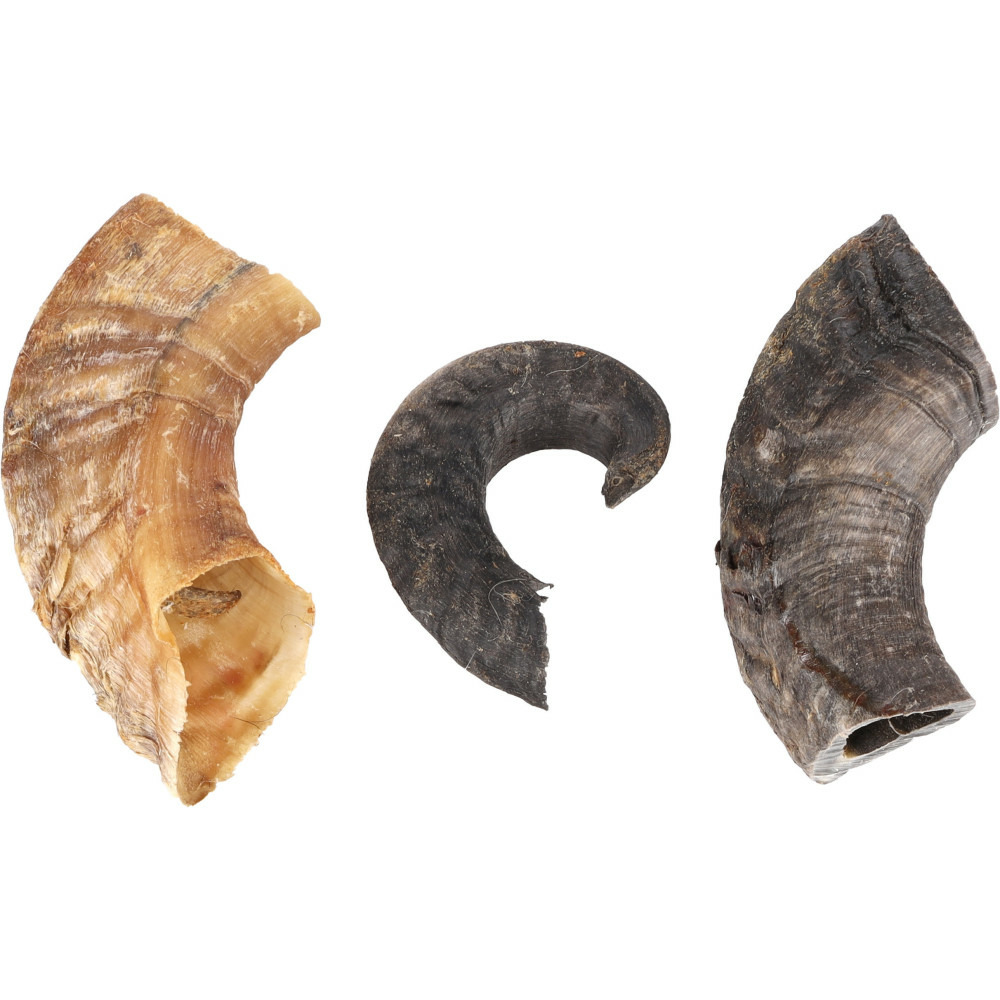 Friandise nature corne d 'agneau 200 g pour chien