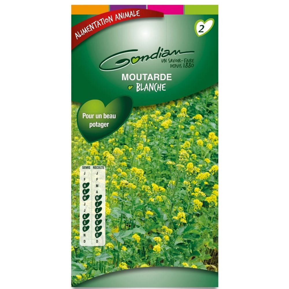 Moutarde blanche engrais vert 100gr 100m²