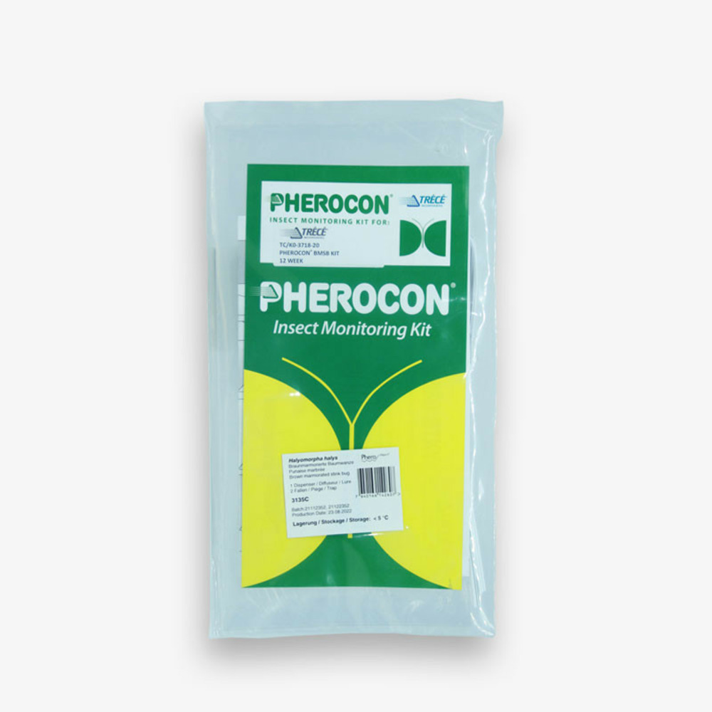 Kit phéromone punaise diabolique