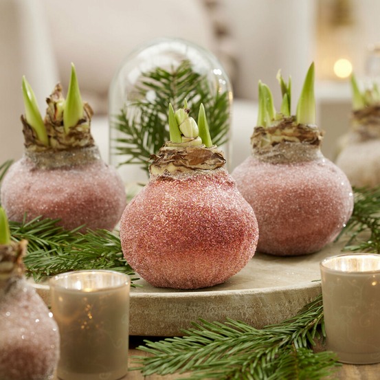 Wax amaryllis magic rosé gold - la pièce