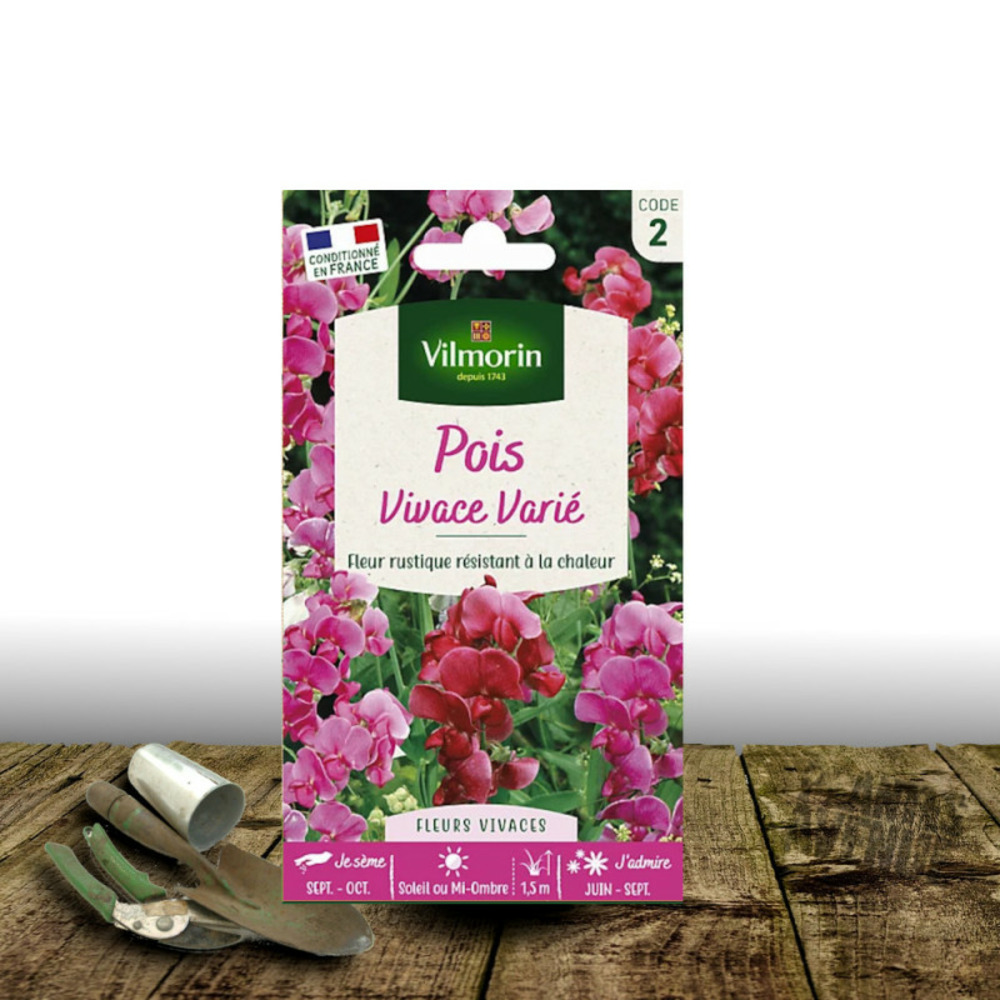 Graines de pois de senteur vivace varié - vilmorin sachet