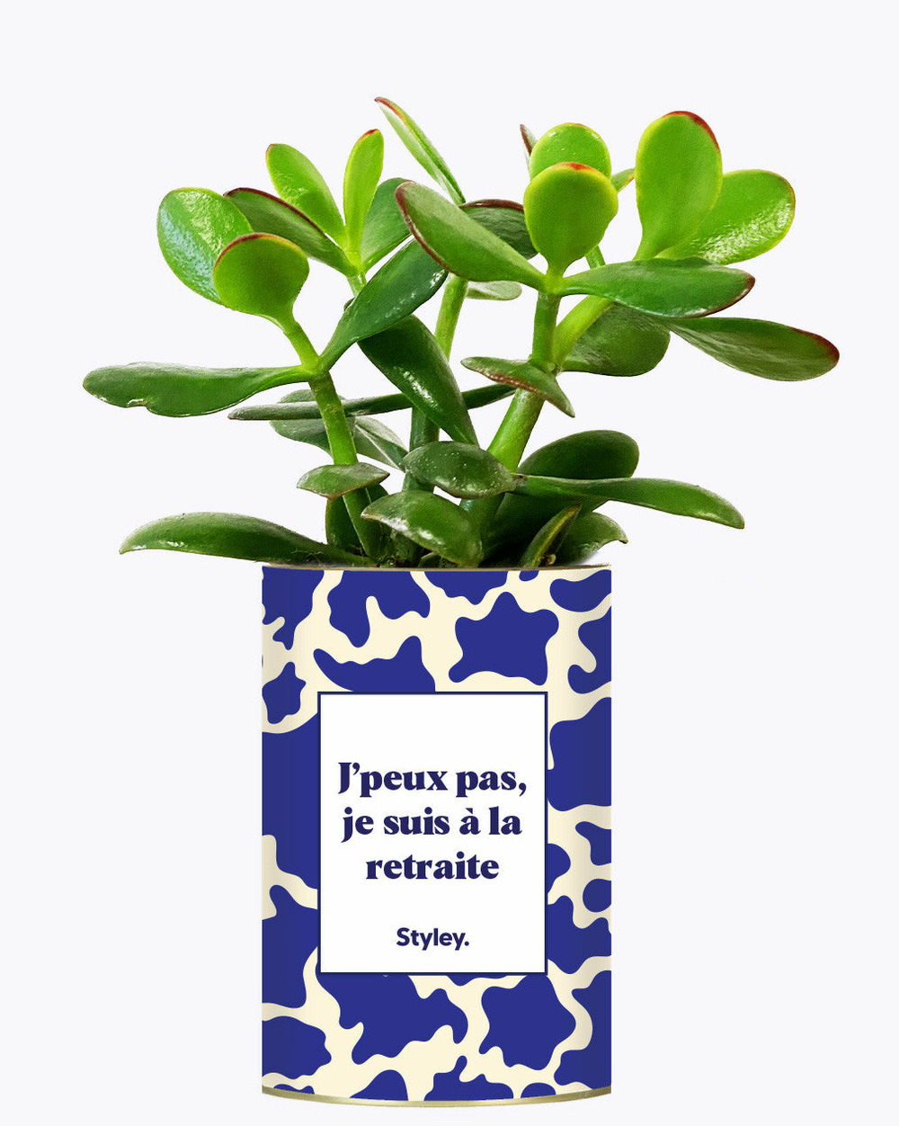 Idée cadeau - j'peux pas, je suis à la retraite - cactus