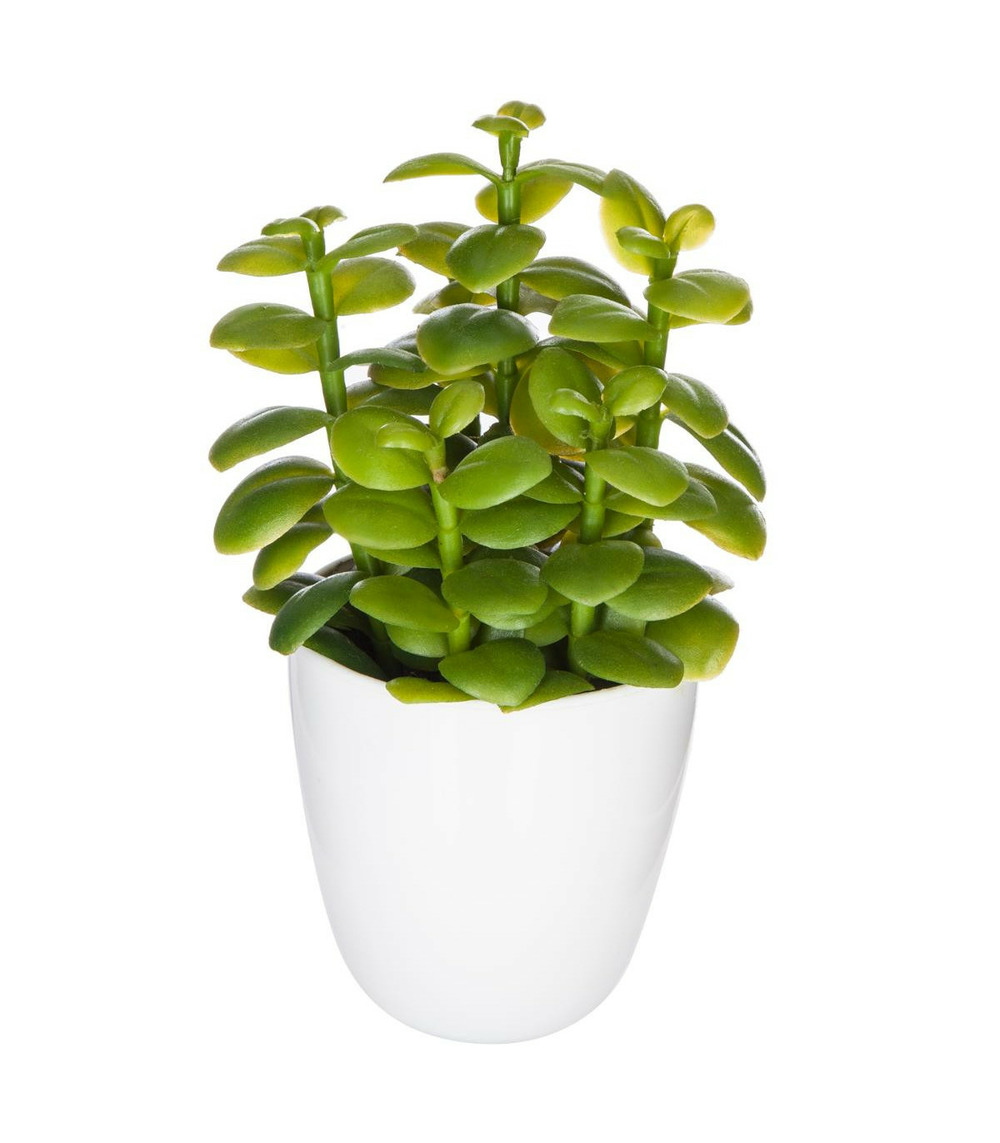 Plante artificielle cactus en pot h 18 cm