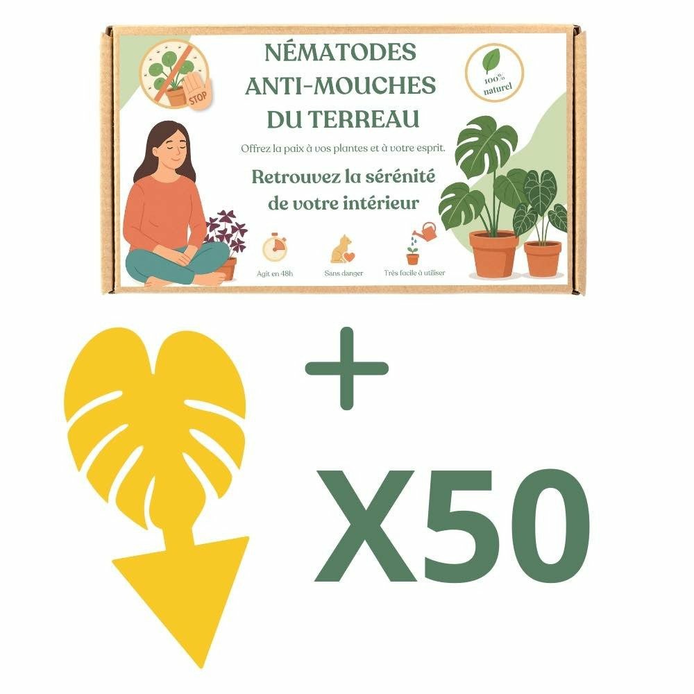 Nématodes felti (sf) - anti mouches du terreau - anti moucherons - anti sciarides - 5 millions traite jusqu'à 15 plantes - x50