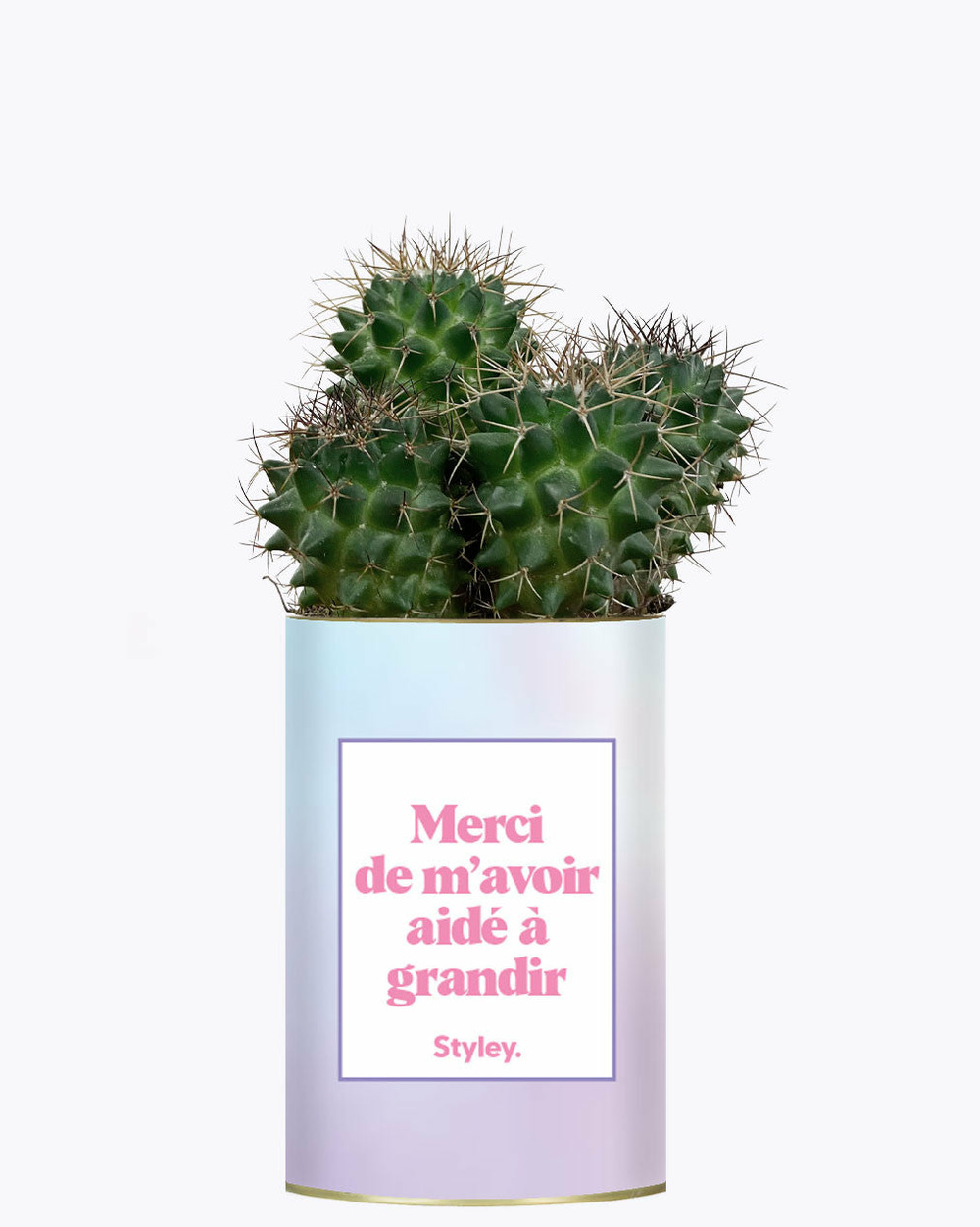 Plante drôle - merci de m'avoir aidé à grandir - cactus