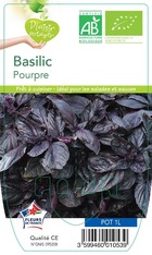 Basilic pourpre plante ab pot 1l - plant d'aromatique du jardin