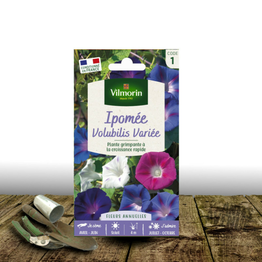 Graines d'ipomée volubile variée - vilmorin sachet