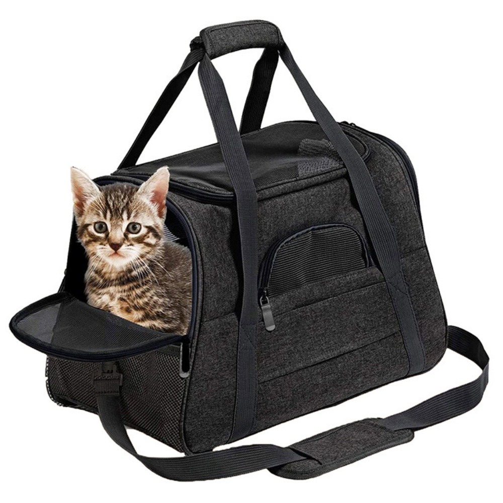 Sac à dos de chat portable et respirant pour sorties noir grand downypaws