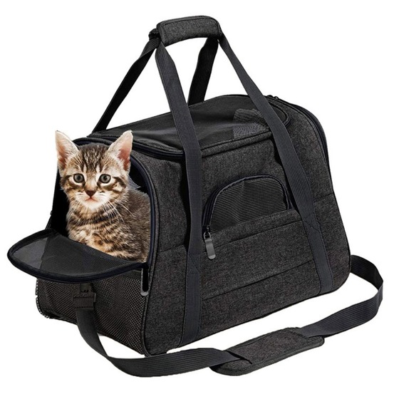 Sac à dos de chat portable et respirant pour sorties noir grand downypaws