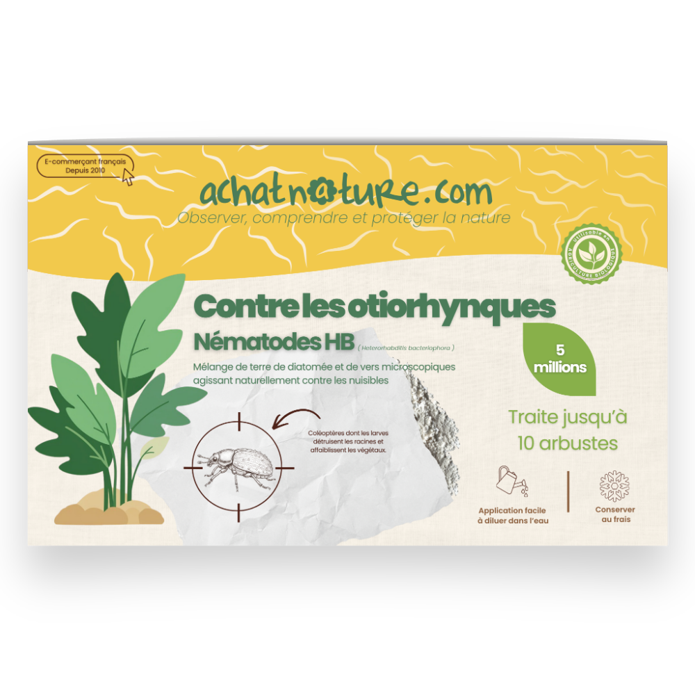 Nématodes hb contre otiorhynques - 5 millions - 10 arbustes