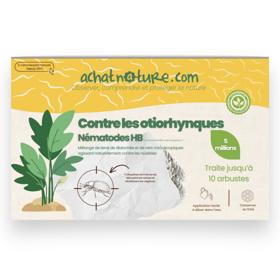 Nématodes hb contre otiorhynques - 5 millions - 10 arbustes