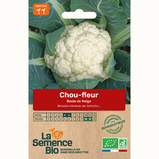 Chou-fleur boule de neige - graines bio