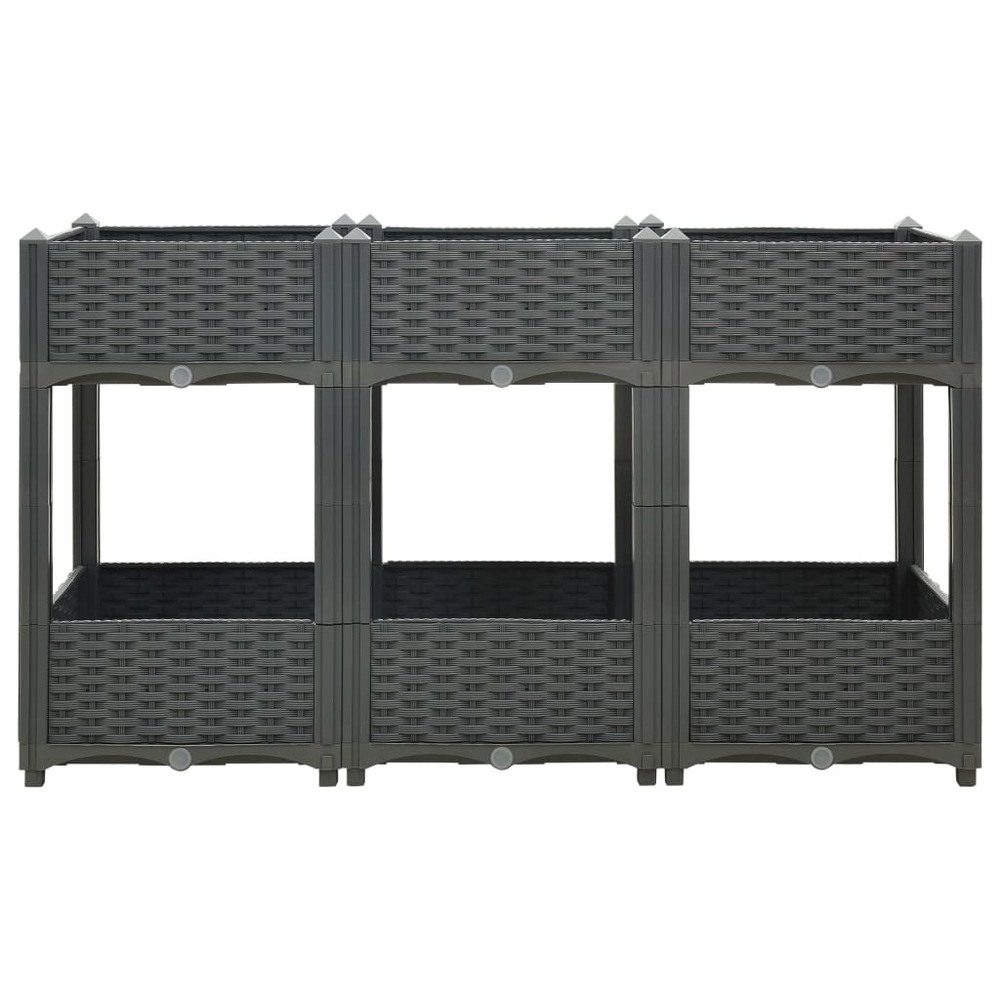 Jardinière lit surélevé plantes fleurs jardin 120 x 40 x 71 cm polypropylène gris foncé