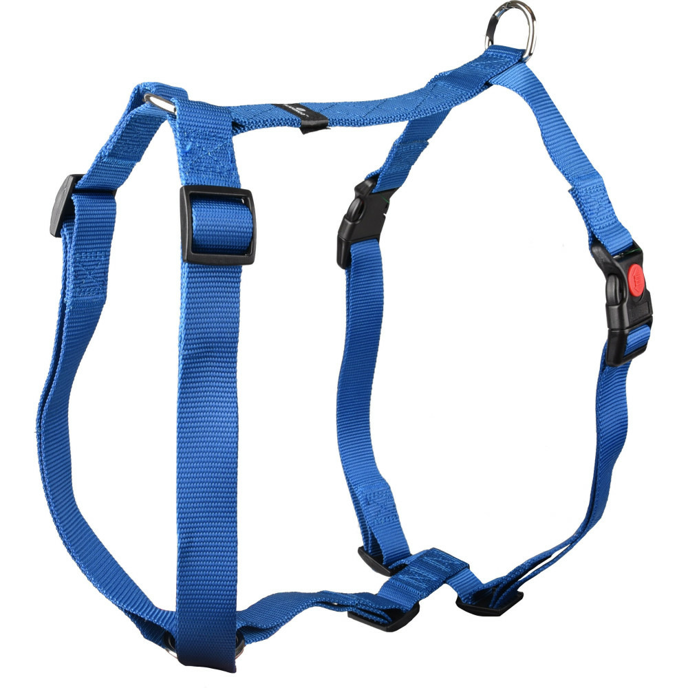 Harnais h ziggi xxl+ cou de 70 -110 cm 25 mm bleu pour chien.